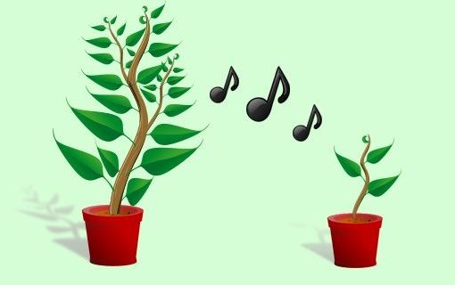 Music Of The Plants A Healing Sound Worldbeat Center Official Website